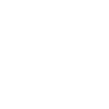 Logo client Solutions DDR | Light Trap - Agence de production vidéo